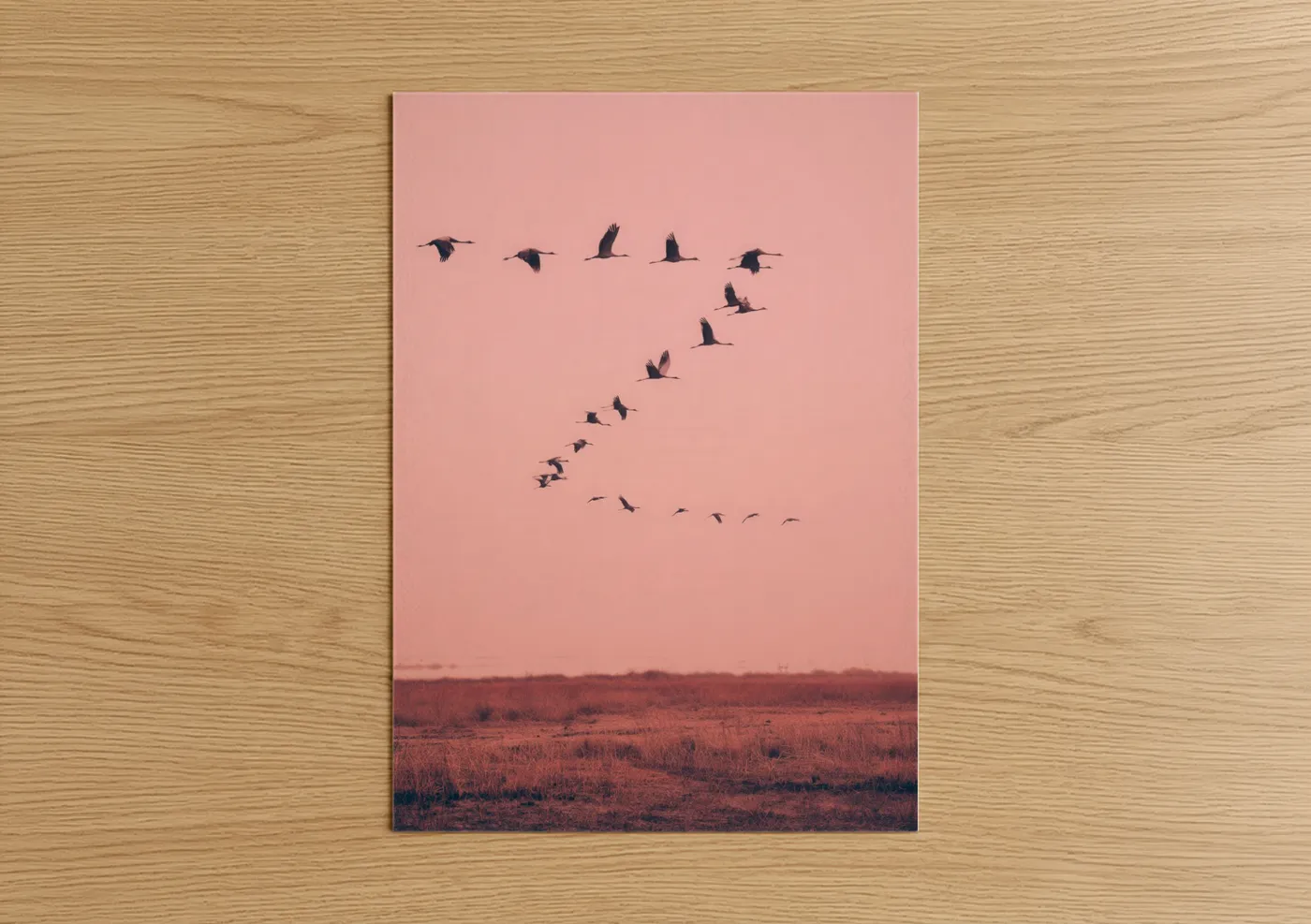 Cranes in Flight Pink Sky Wall Art