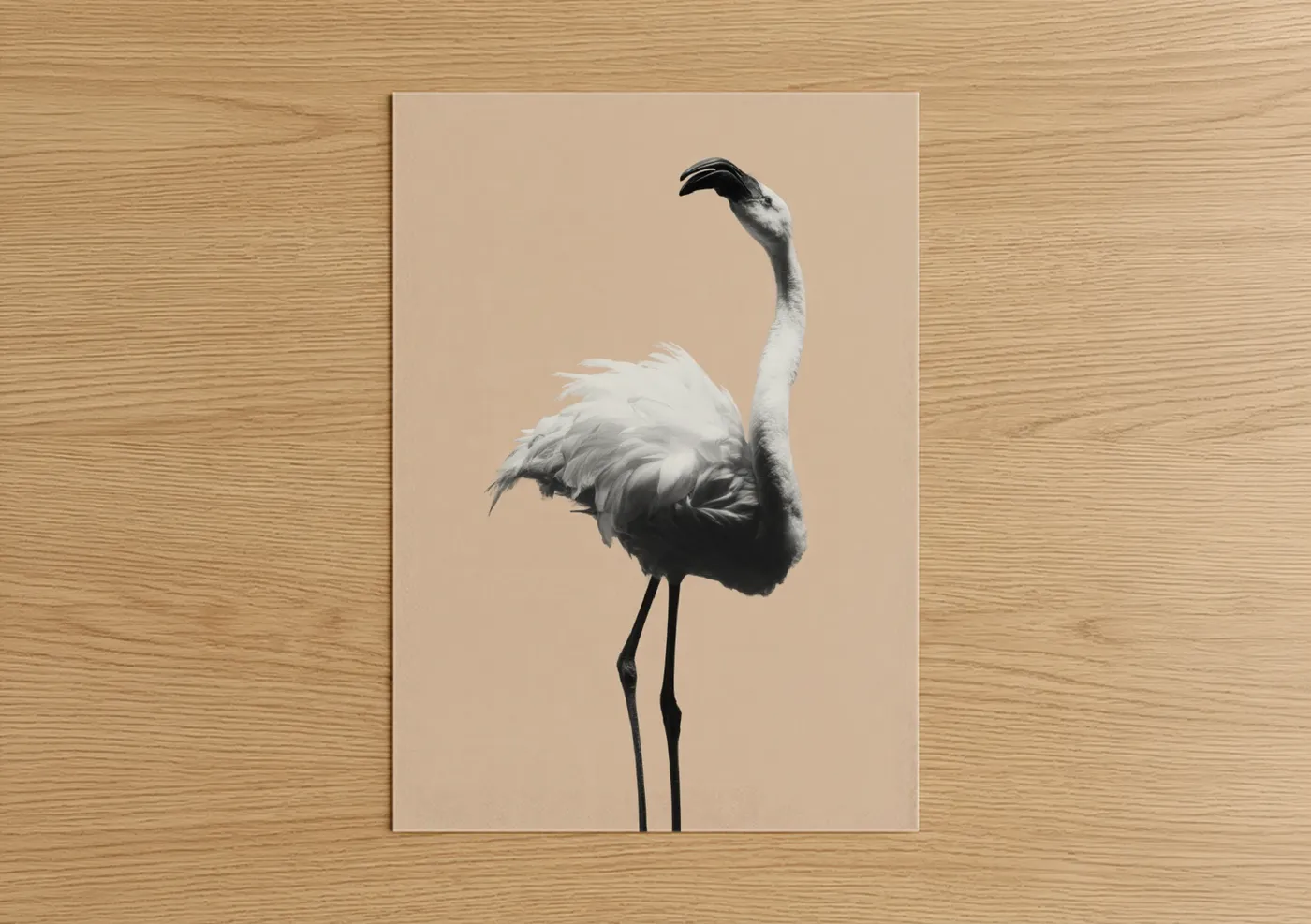Elegant Flamingo Portrait Minimalist Wall Art
