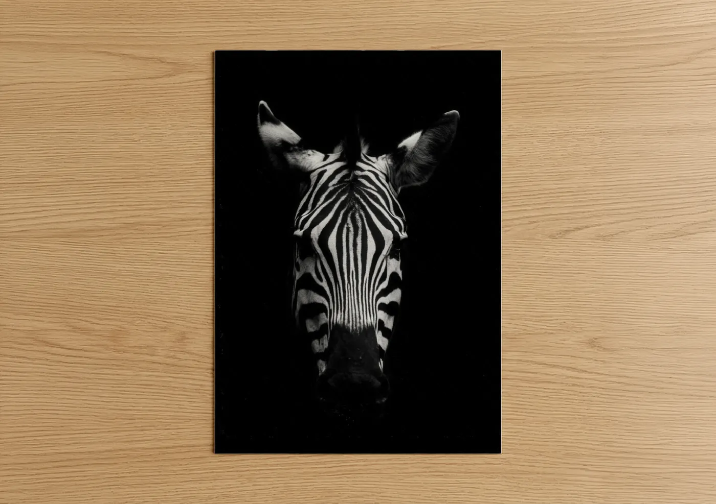 Black and White Zebra Portrait Artwork Wall Art