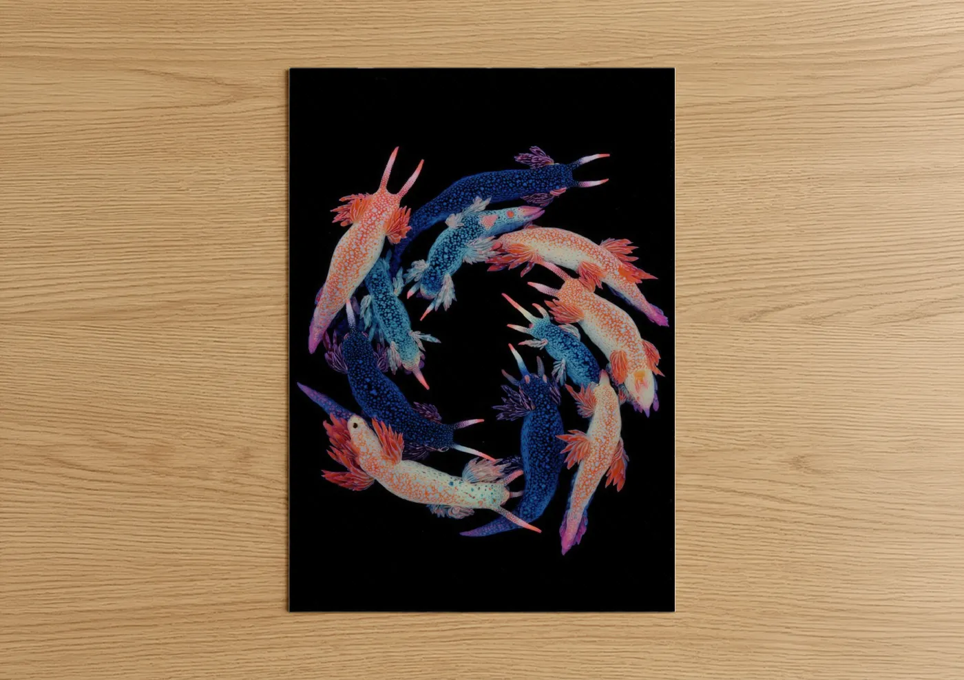 Colorful Nudibranch Sea Creatures Wall Art