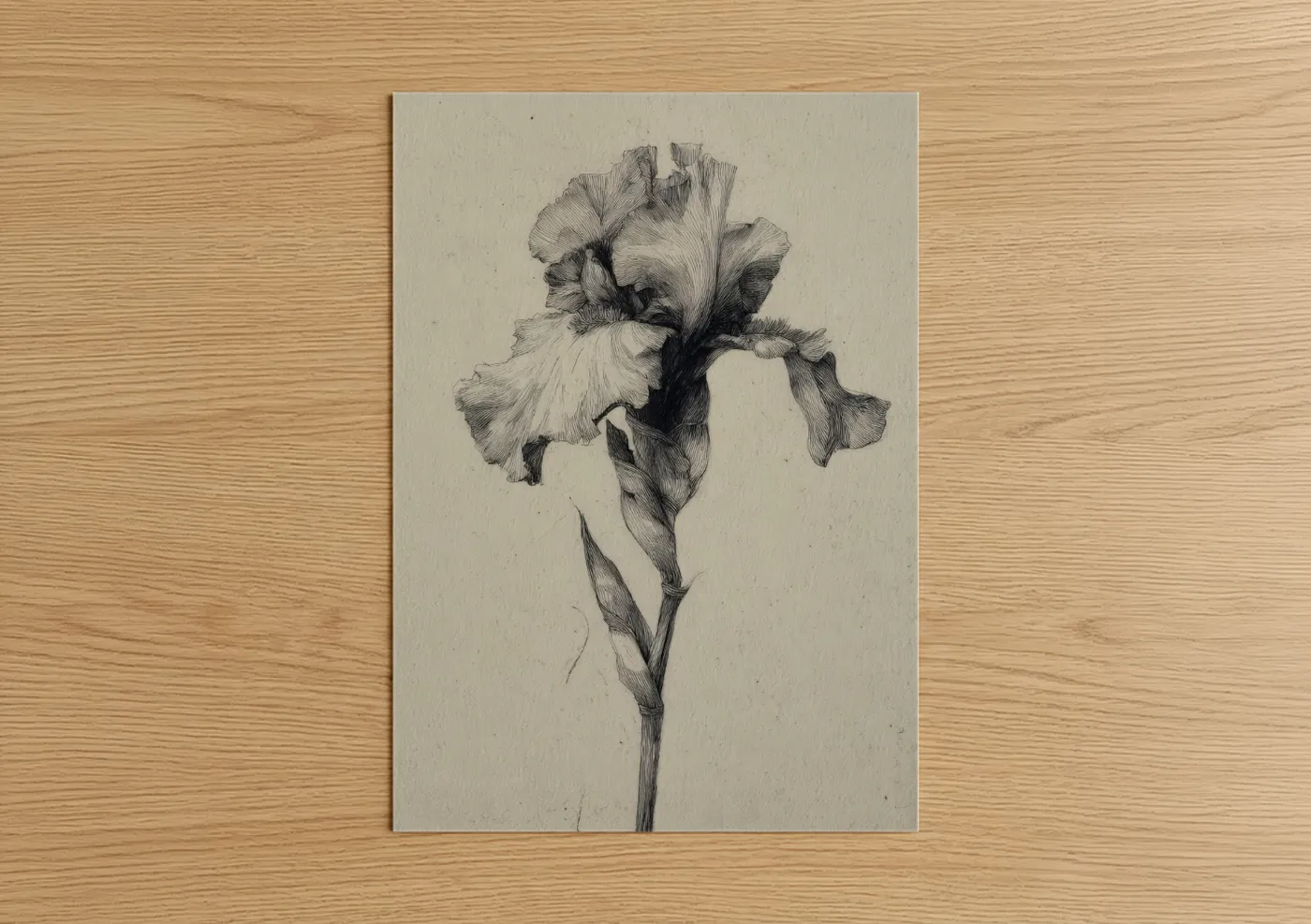 Elegant Iris Study Pen Drawing Wall Art