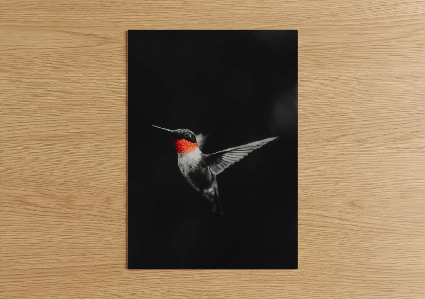 Art print on warm oak wood — black and white and red palette — Ruby Hummingbird poster