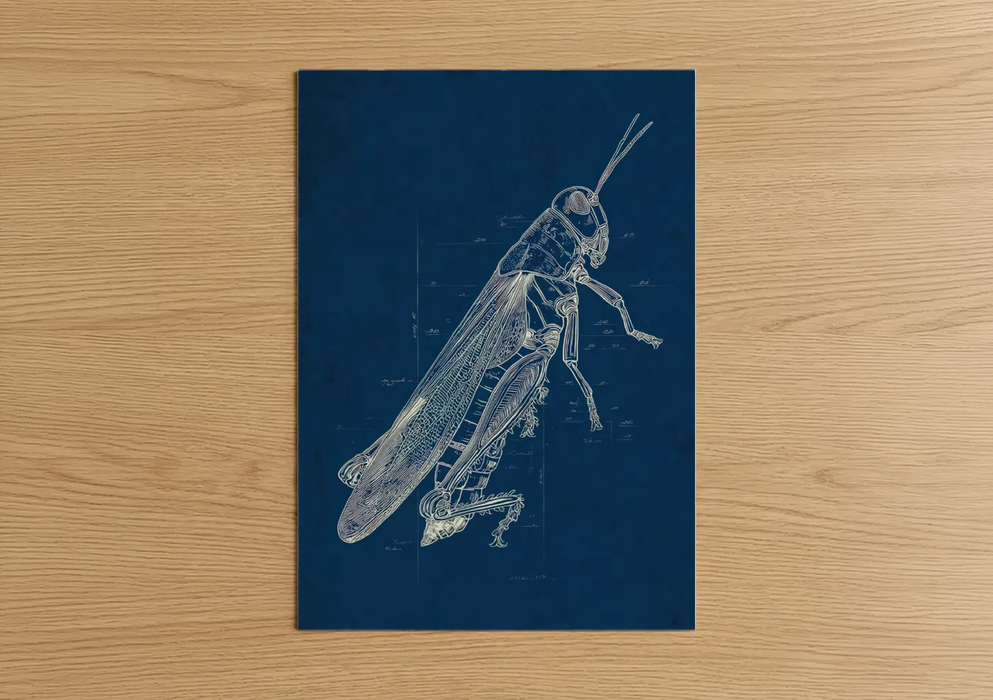Blueprint Grasshopper Technical Illustration Wall Art