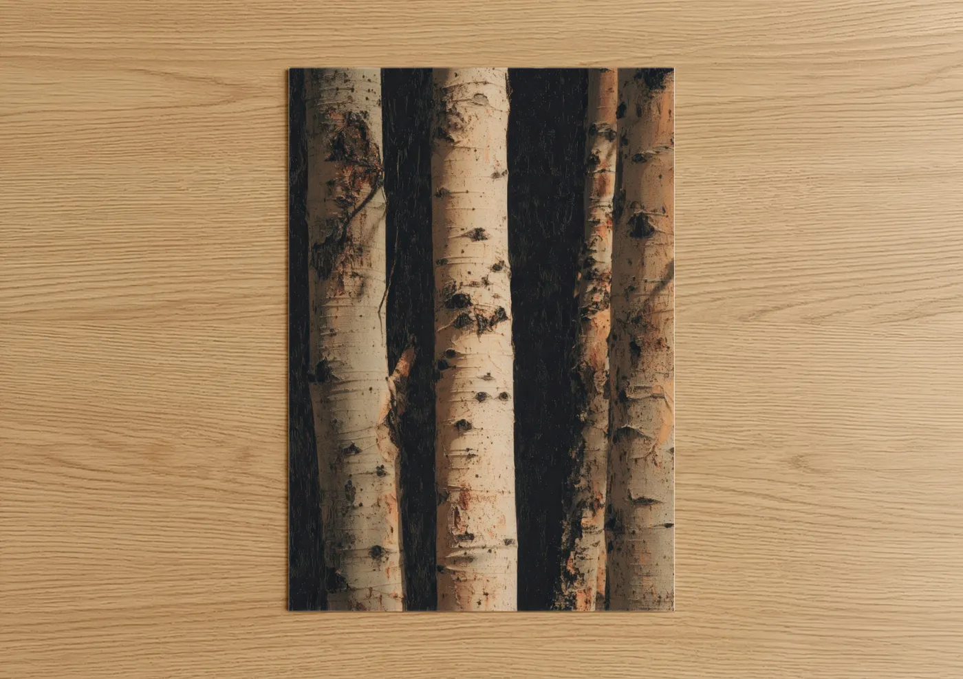 Aspen Forest Birch Tree Trunks Close-up Wall Art