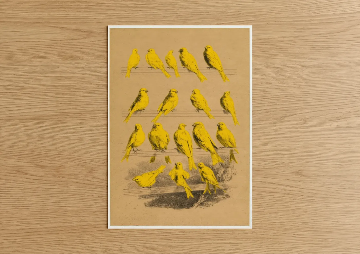 Art print on warm oak wood — yellow gold and cream palette — Yellow Canaries Study poster