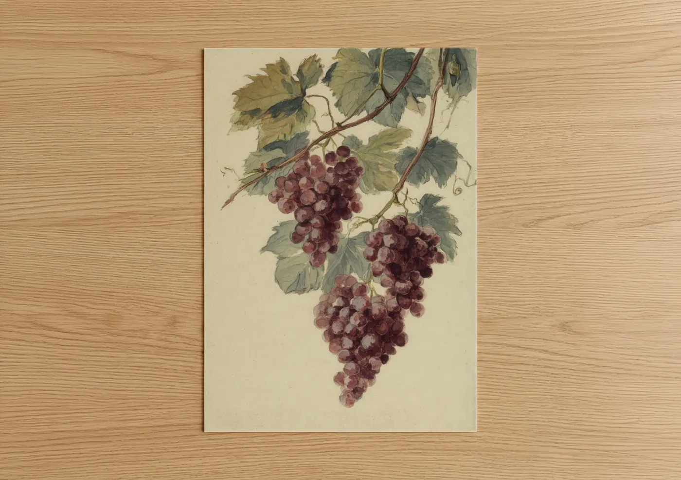 Vintage Red Grape Bunches Botanical Wall Art