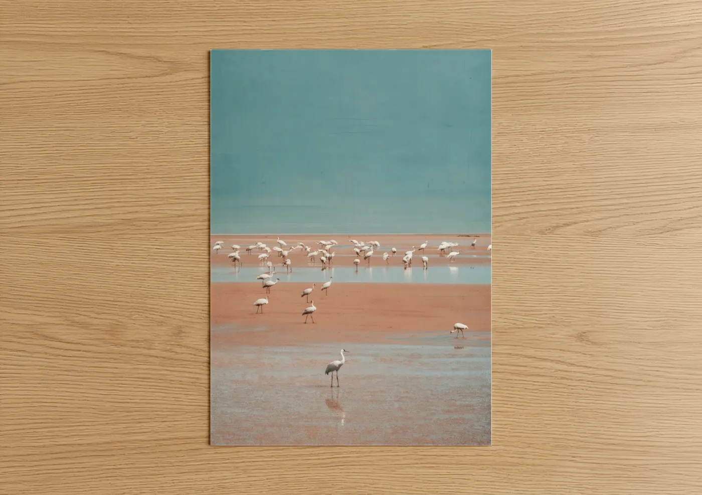 Crane art print on warm oak wood — salmon pink and blue and white palette — Flamingo Salt Flats poster