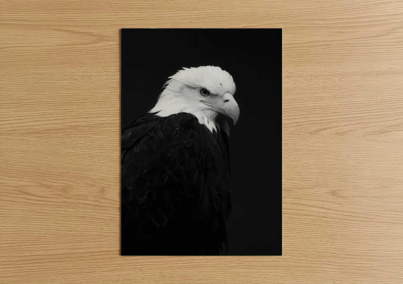 Bald Eagle Black and White Portrait Wall Art