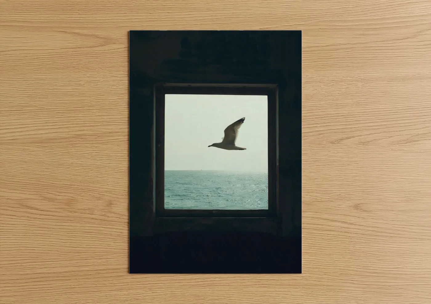 Seagull Ocean View Window Photography Wall Art