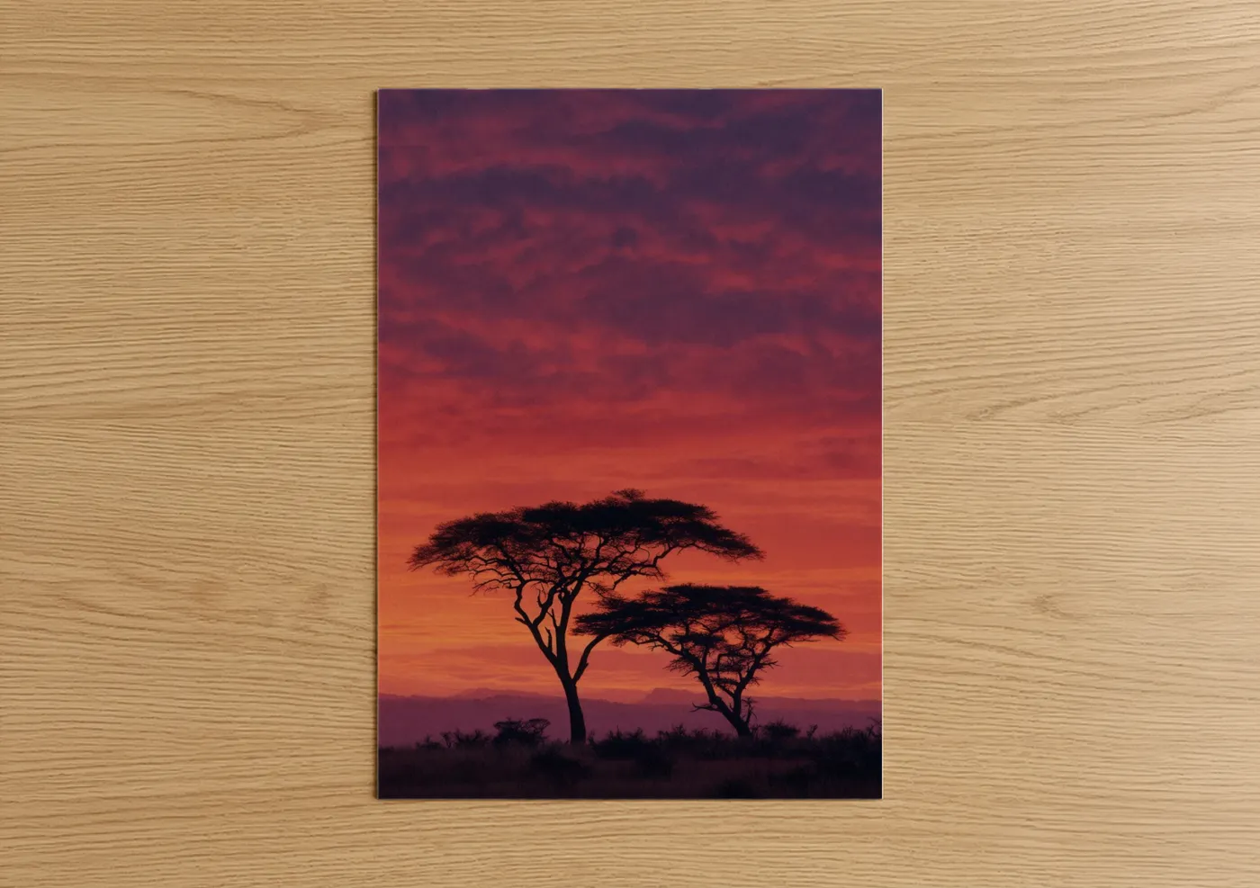 Crimson Savanna Sunset African Acacia Wall Art