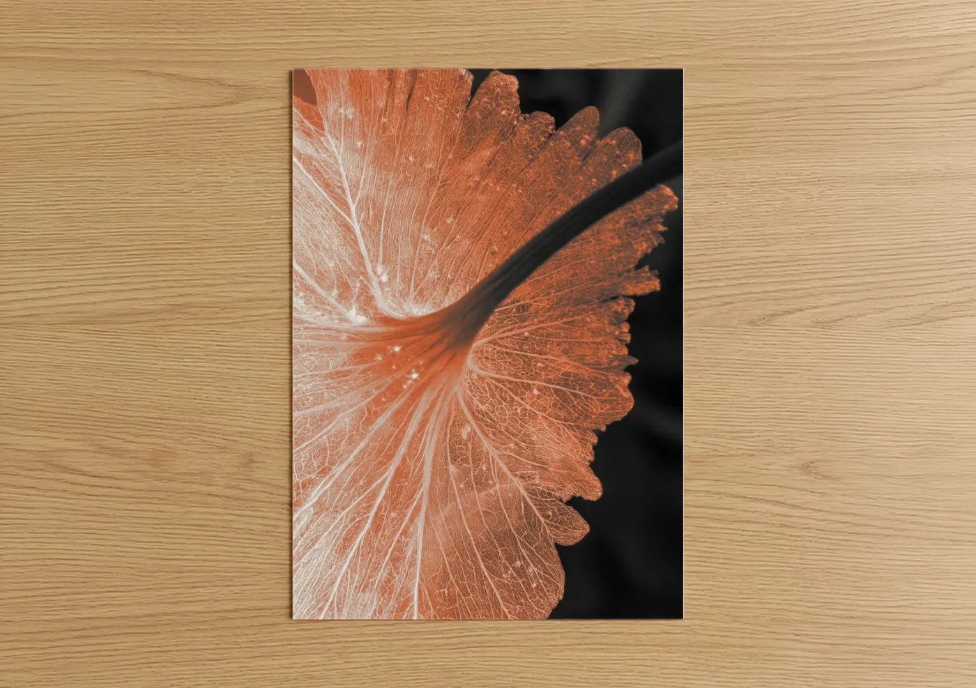 Coral Abstract Flower Vein Detail Wall Art