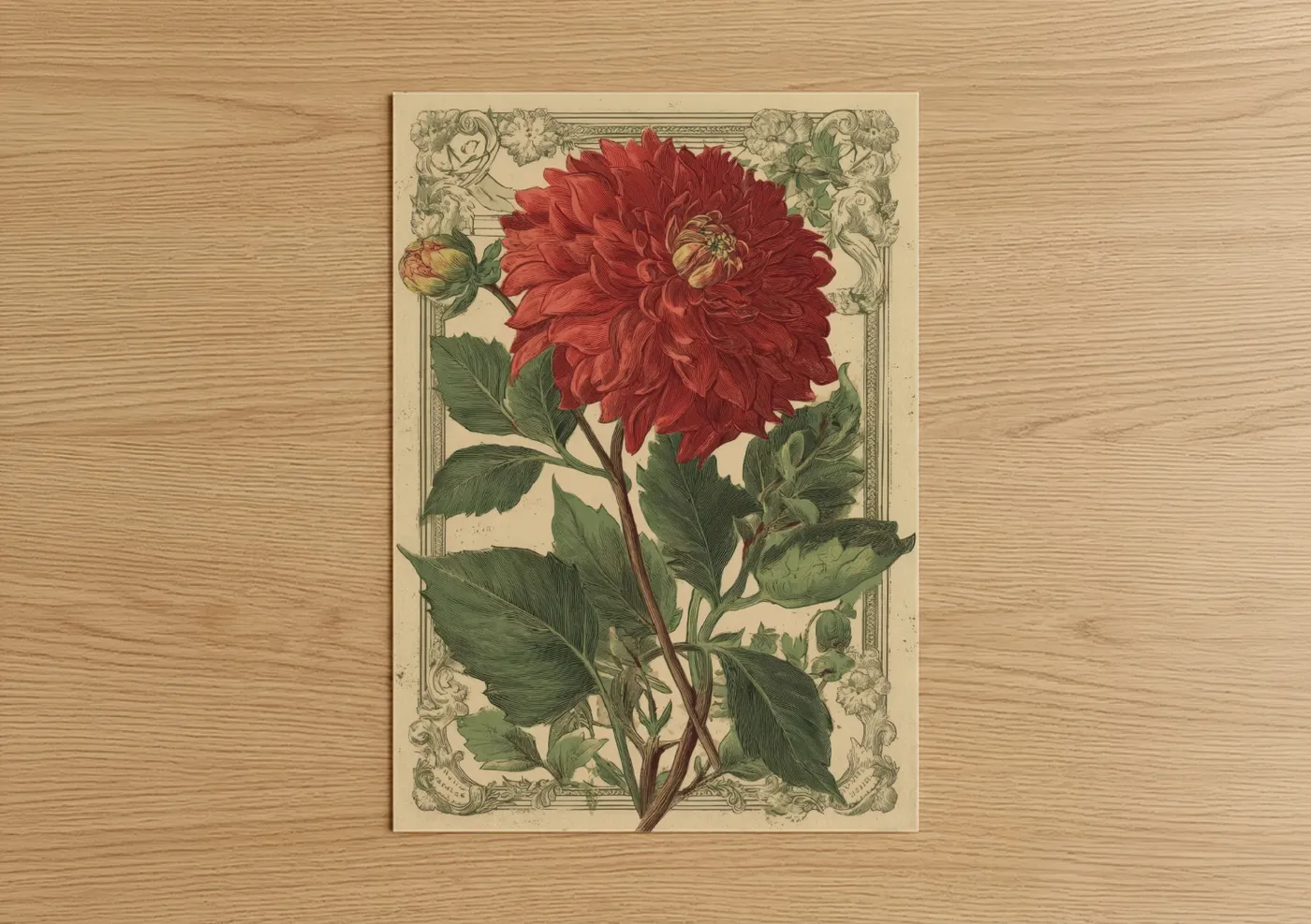 Crimson Dahlia Study Victorian Botanical Wall Art