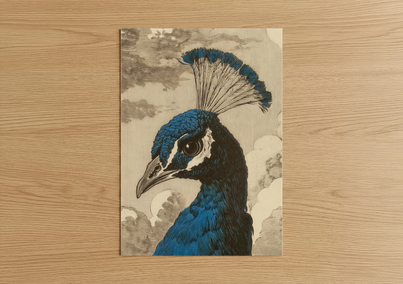 Regal Peacock Profile Vintage Illustration Wall Art