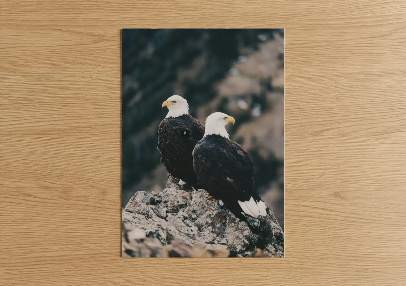 Bald Eagle Pair Mountain Rock Wall Art