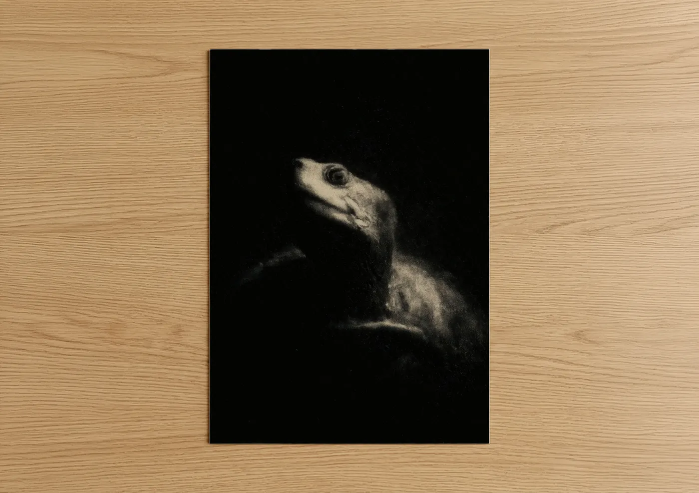 Art print on warm oak wood — black and white palette — Contemplative Turtle poster
