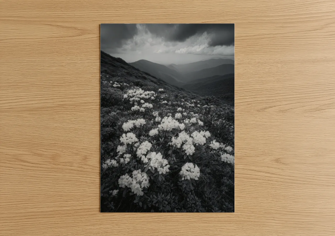 Rhododendron Flowers Blue Ridge Mountains Wall Art