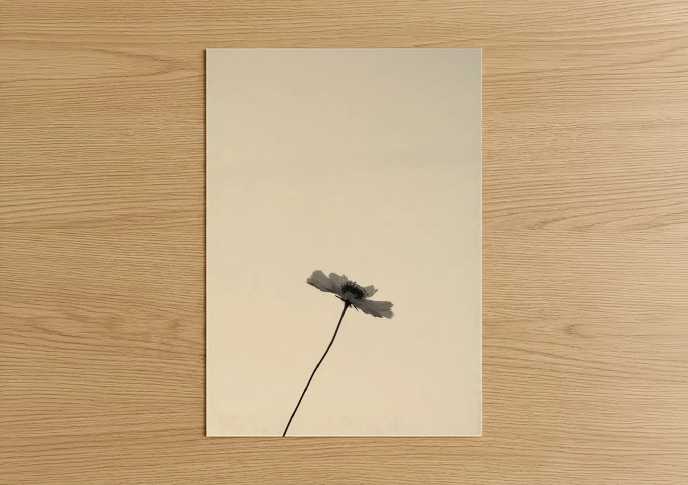 Solitary Bloom Minimalist Flower Wall Art