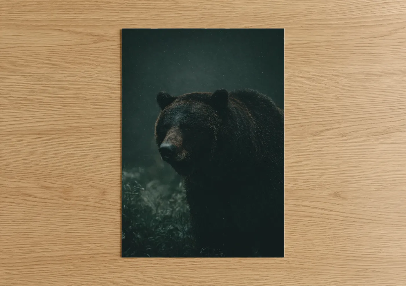 Grizzly Bear Moody Wildlife Portrait Wall Art