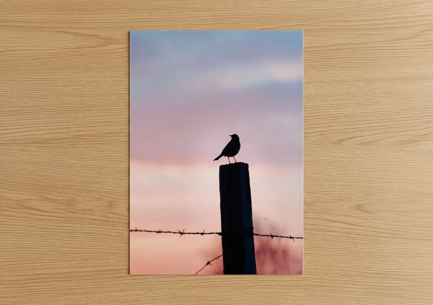 Silhouette Thrush on Fence Post Sunset Wall Art