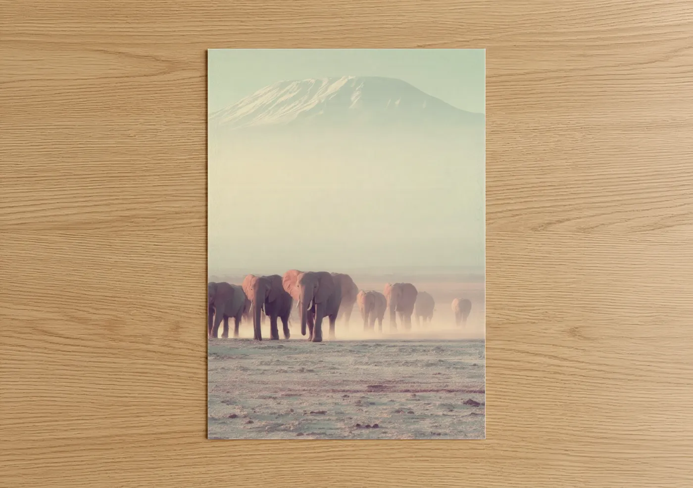 Misty Elephant Herd Savanna Wildlife Wall Art