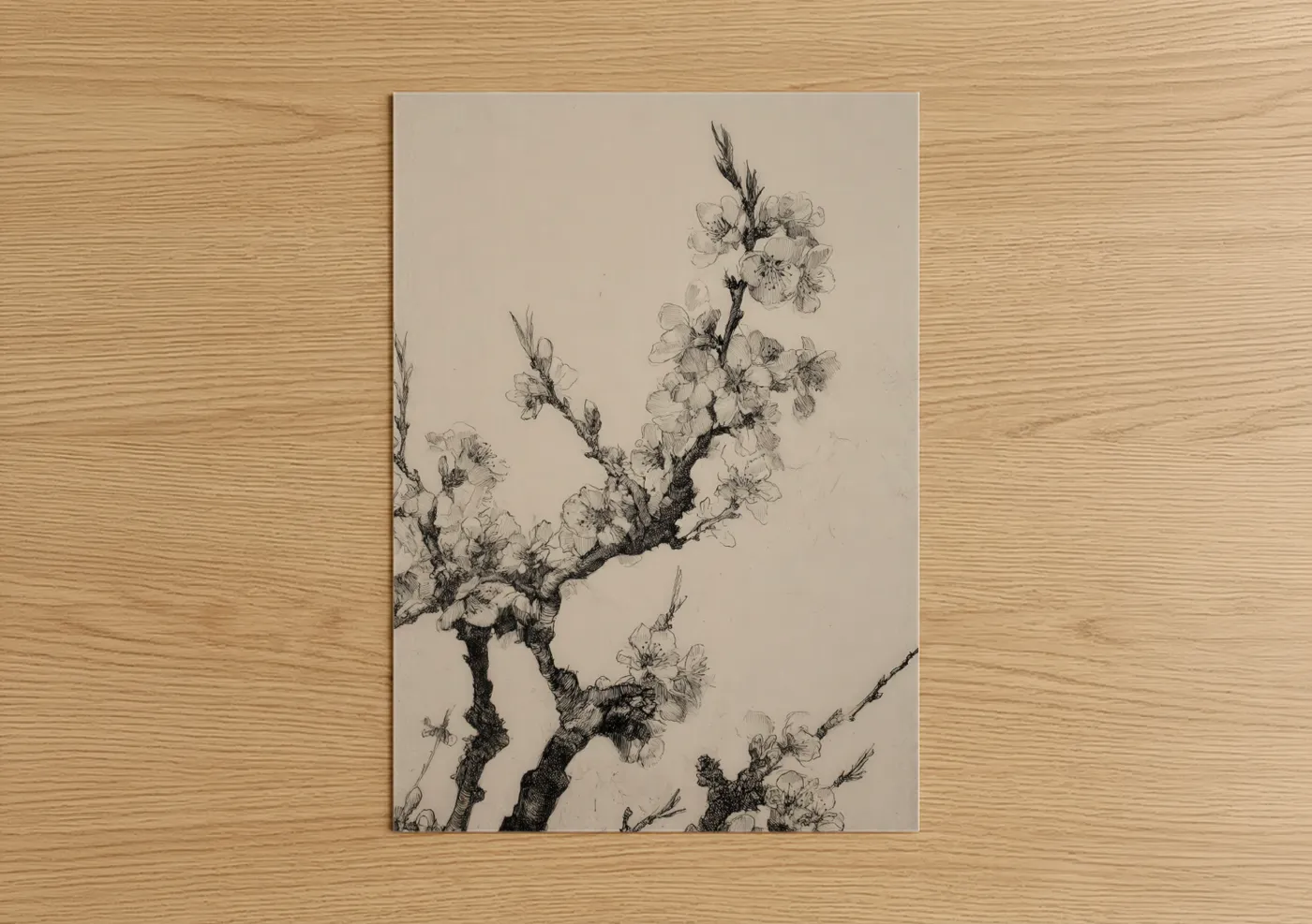 Cherry Blossom Branches Botanical Line Wall Art