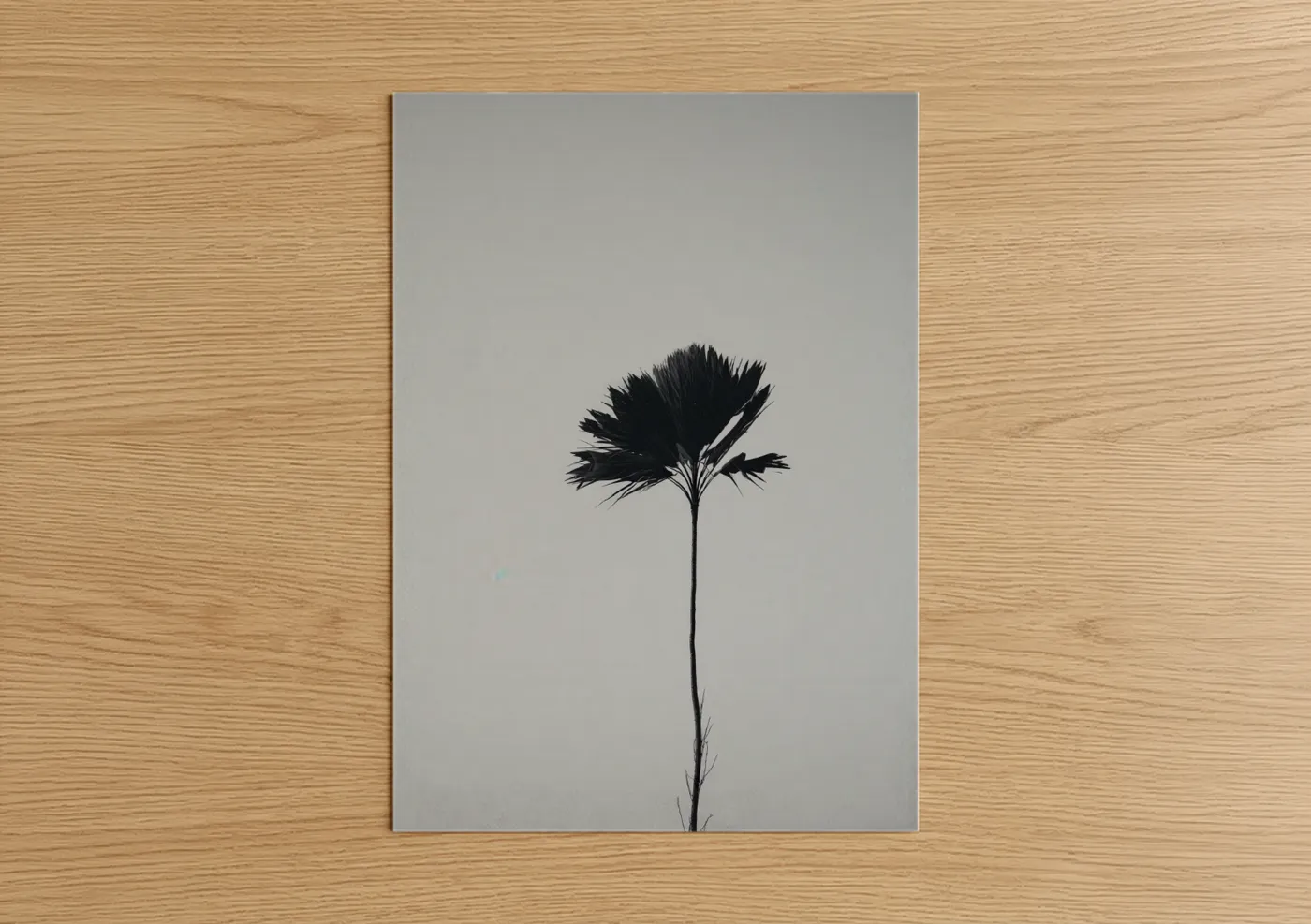 Minimalist Black Palm Silhouette Wall Art