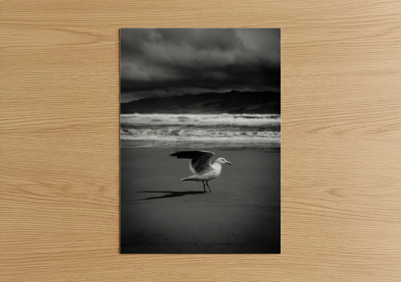 Solitary Seagull Storm Beach Photography Wall Art