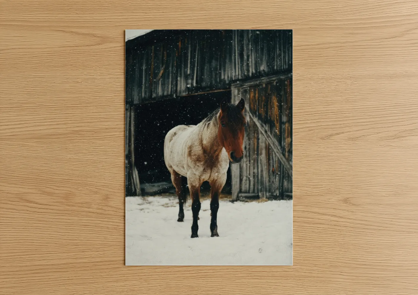 Quarter Horse Winter Snow Barn Wall Art