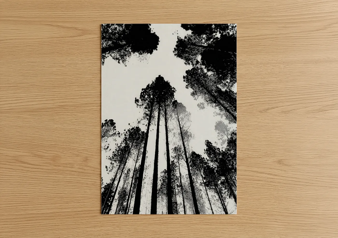 Pine forest art print on warm oak wood — black and white palette — Skyward Pines poster