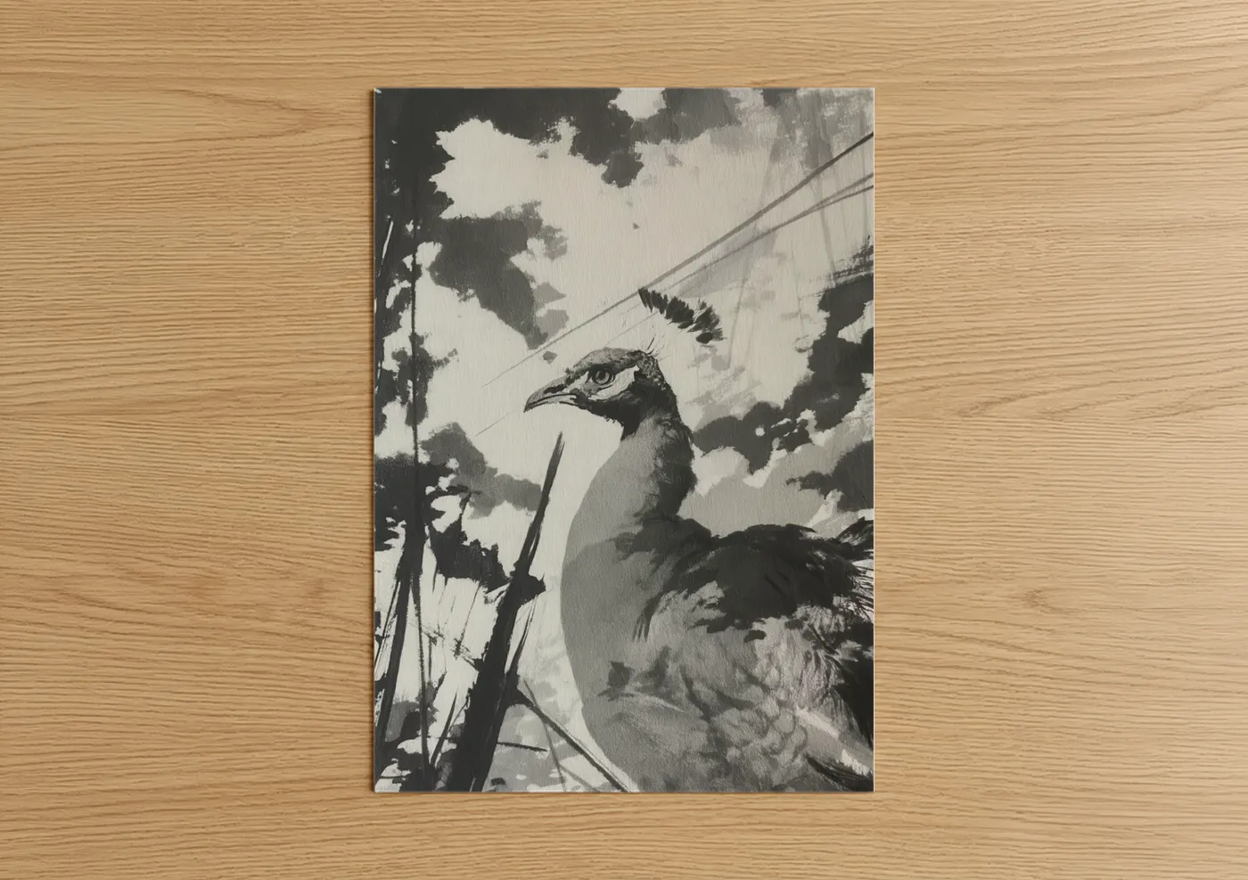 Regal Peacock Black and White Wall Art