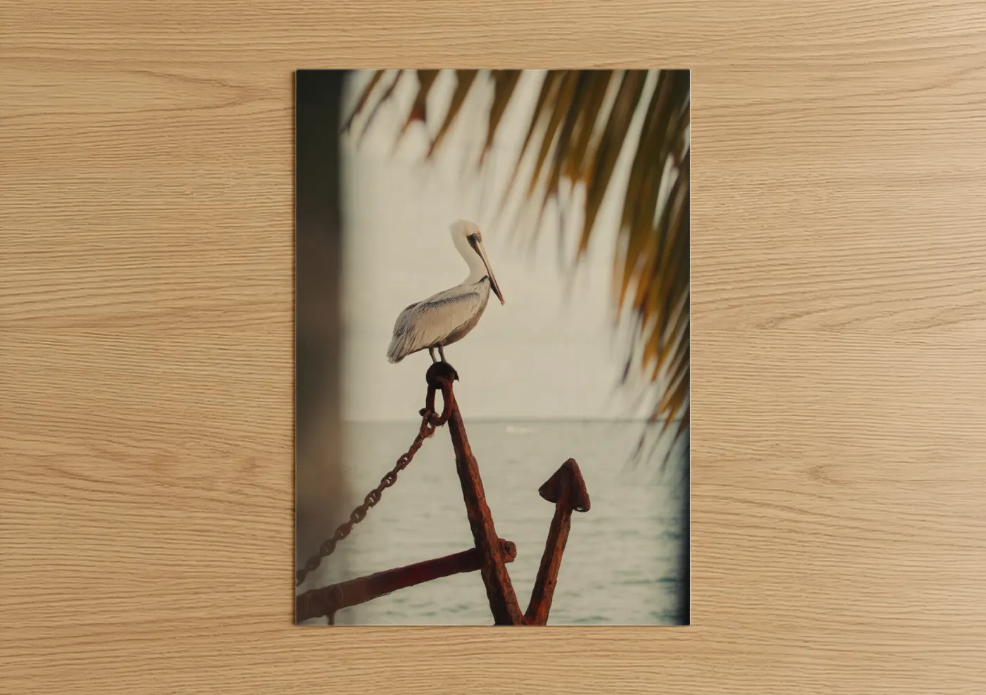 Pelican on Rustic Anchor Nautical Wall Art