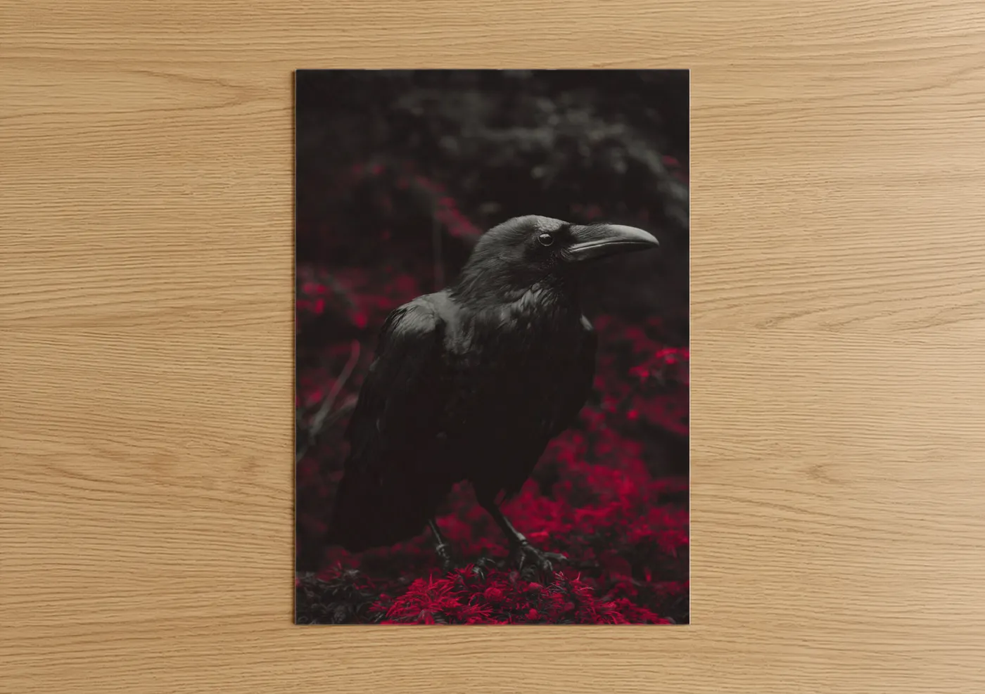 Moody Black Raven Red Foliage Wall Art