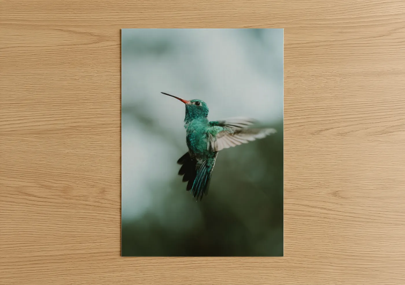 Art print on warm oak wood — true green and blue and white palette — Emerald Hummingbird poster