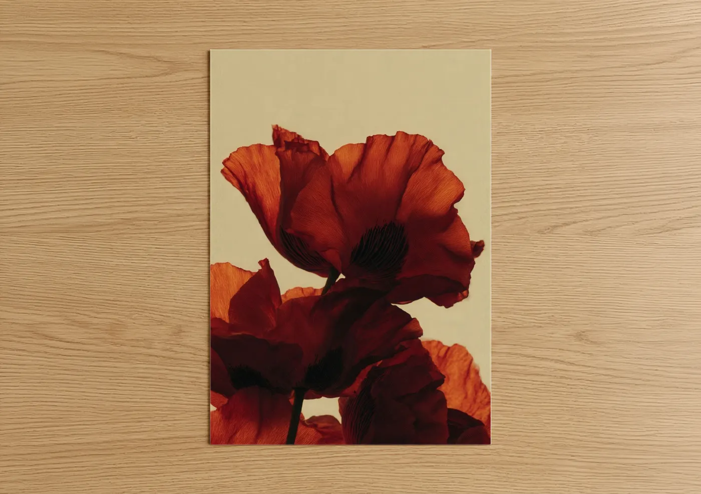 Art print on warm oak wood — red and gold palette — Crimson Poppies poster
