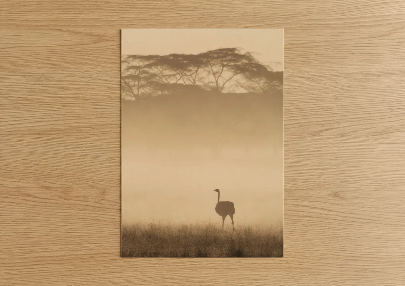 Art print on warm oak wood — champagne gold and beige palette — Misty Ostrich poster