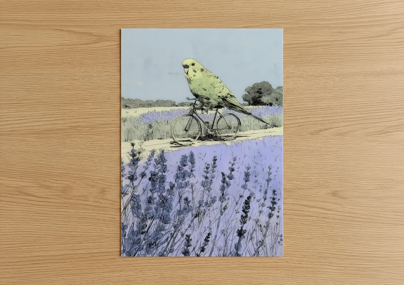 Yellow Budgerigar Lavender Field Bicycle Wall Art
