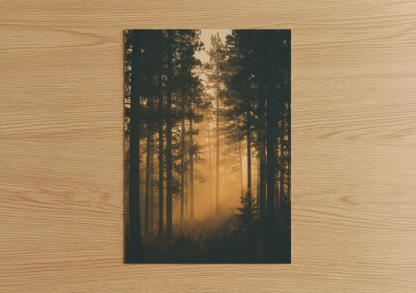 Golden Pine Forest Sunrise Mist Wall Art
