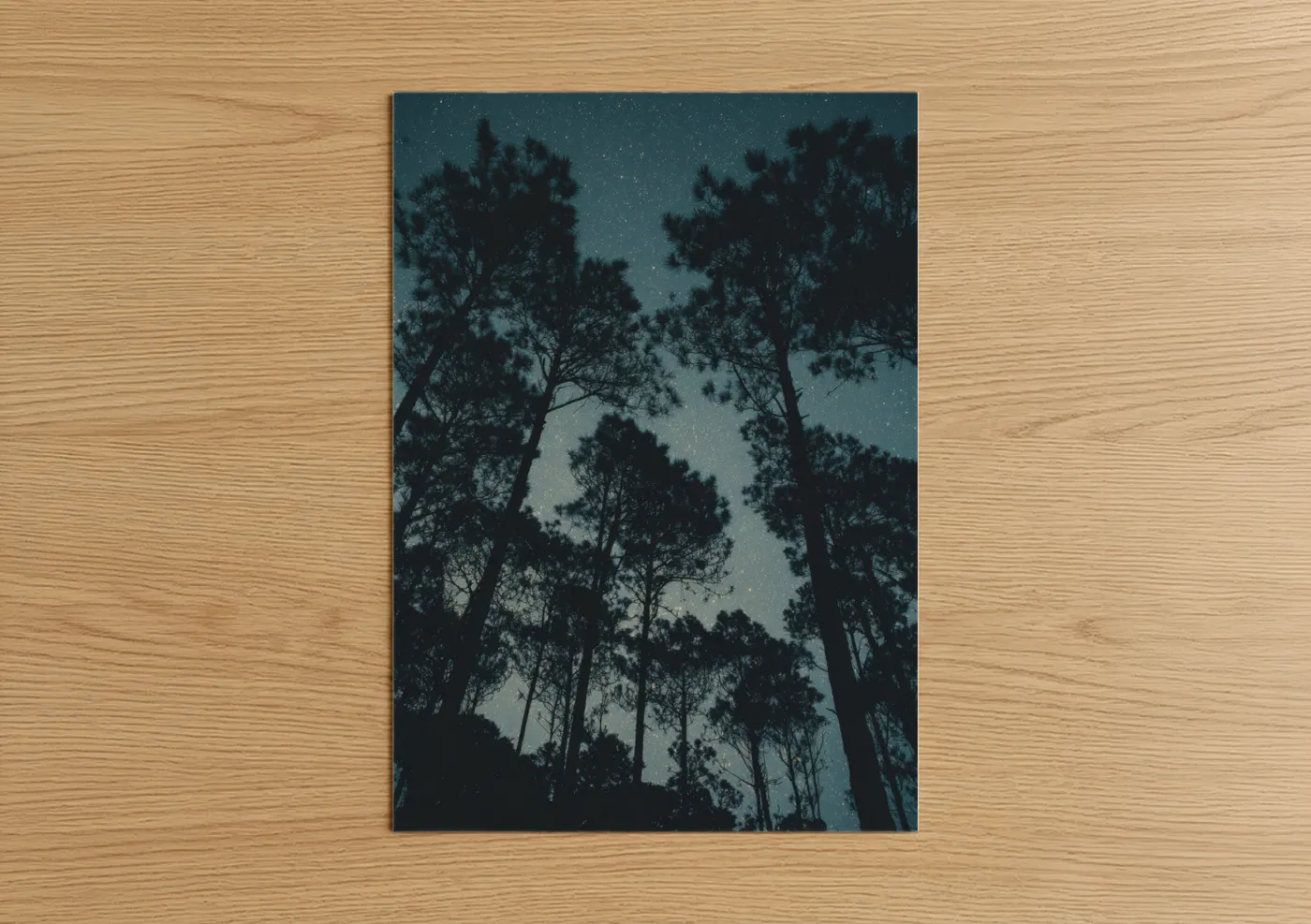 Starlit Pine Forest Night Sky Wall Art