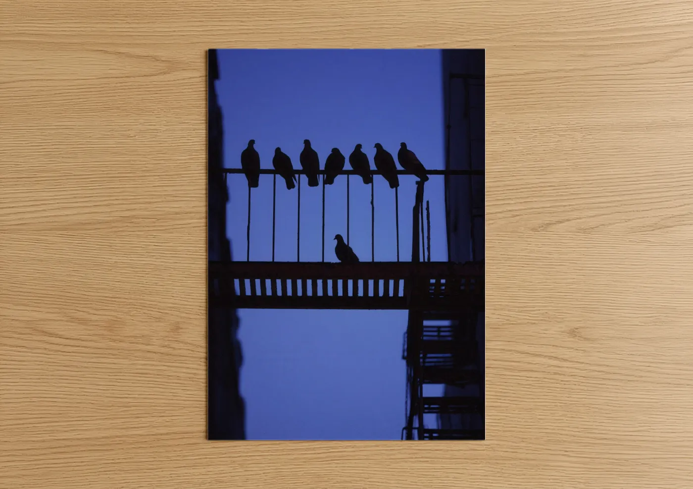 Urban Pigeons Silhouette City Birds Wall Art