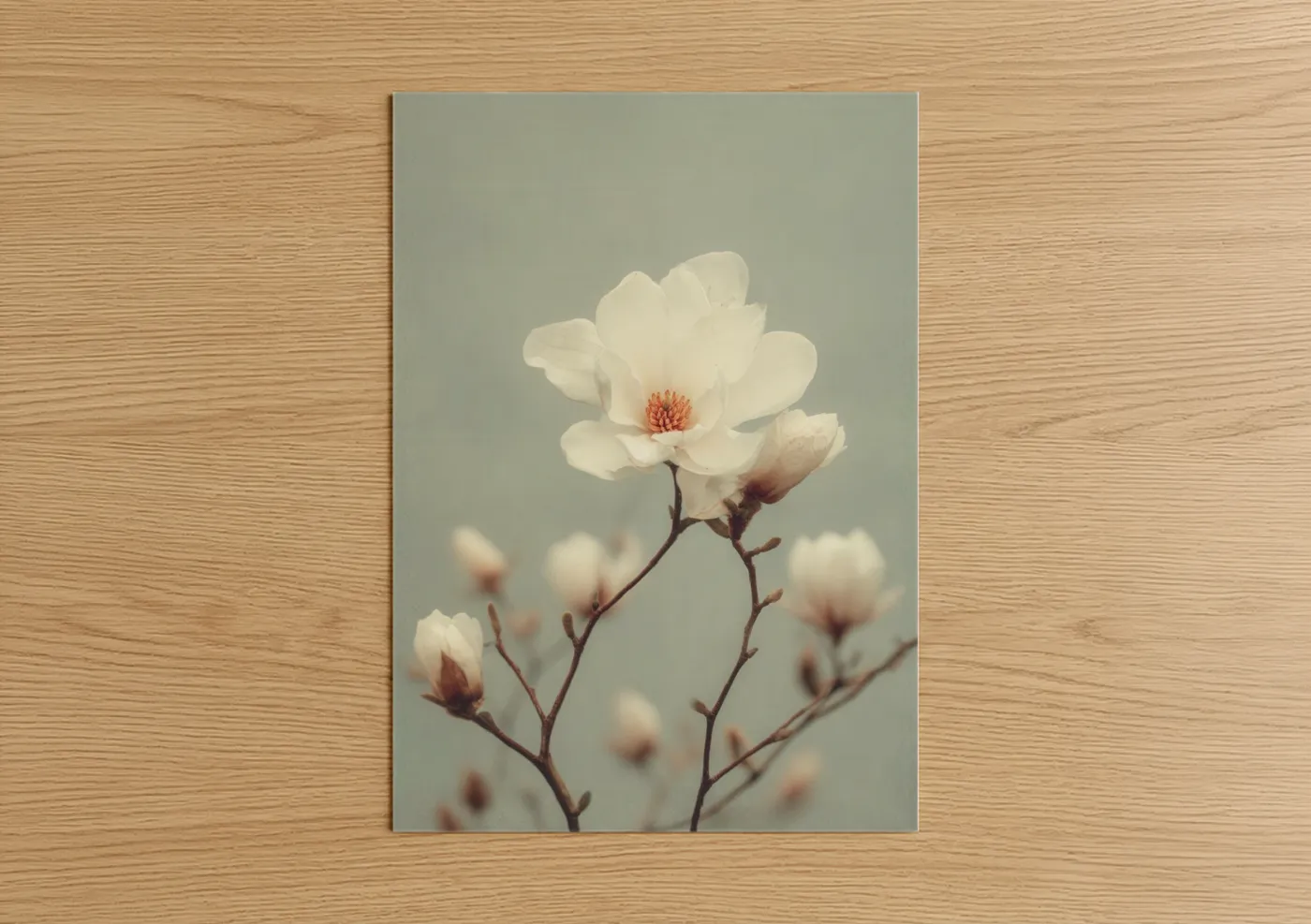 Art print on warm oak wood — cream and sage green palette — Cream Magnolia Bloom poster