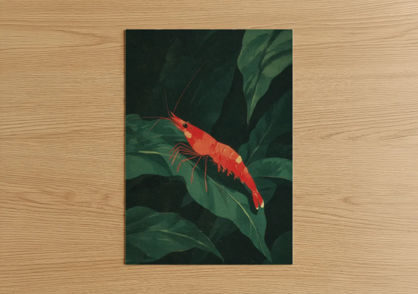 Art print on warm oak wood — red and dark green palette — Crimson Shrimp poster