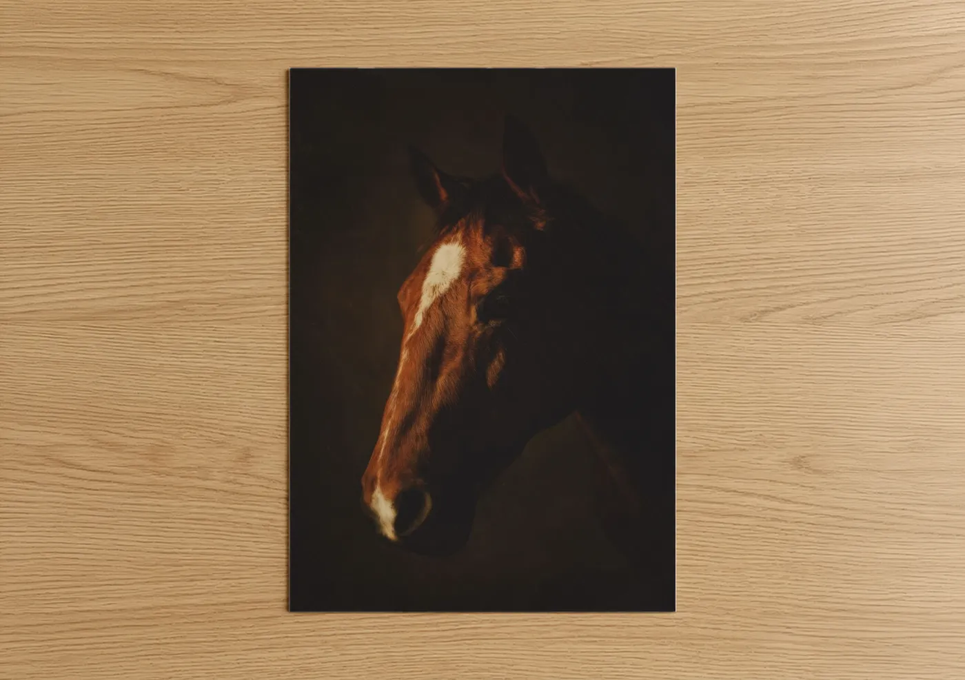 Chestnut Quarter Horse Portrait Dark Wall Art