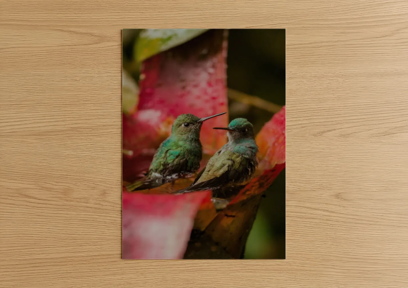 Emerald Hummingbird Pair on Flower Branch Wall Art