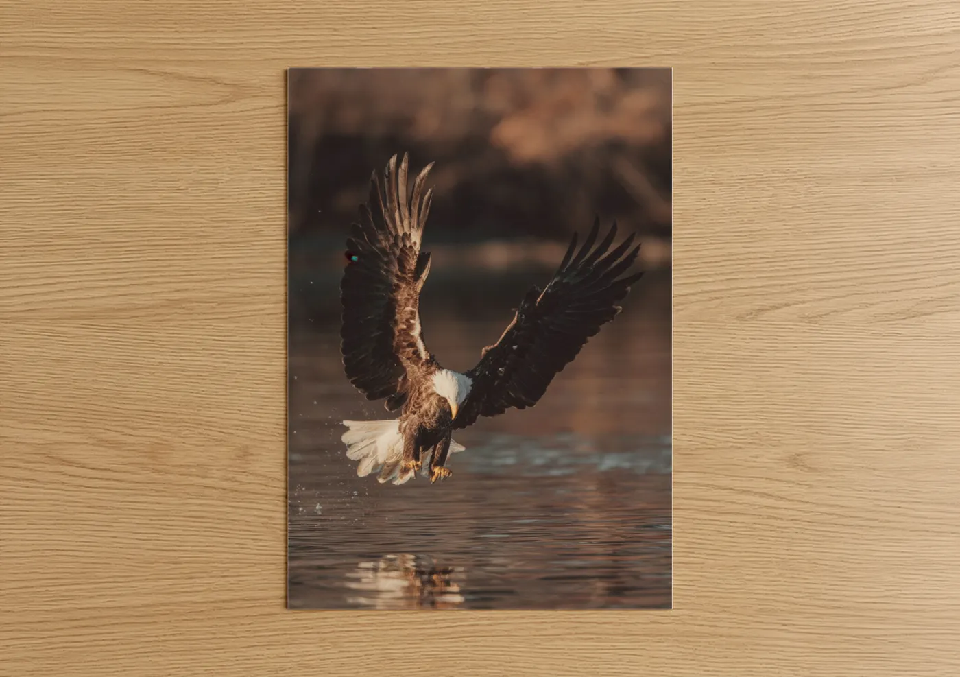 Art print on warm oak wood — gold and brown palette — Golden Eagle Strike poster