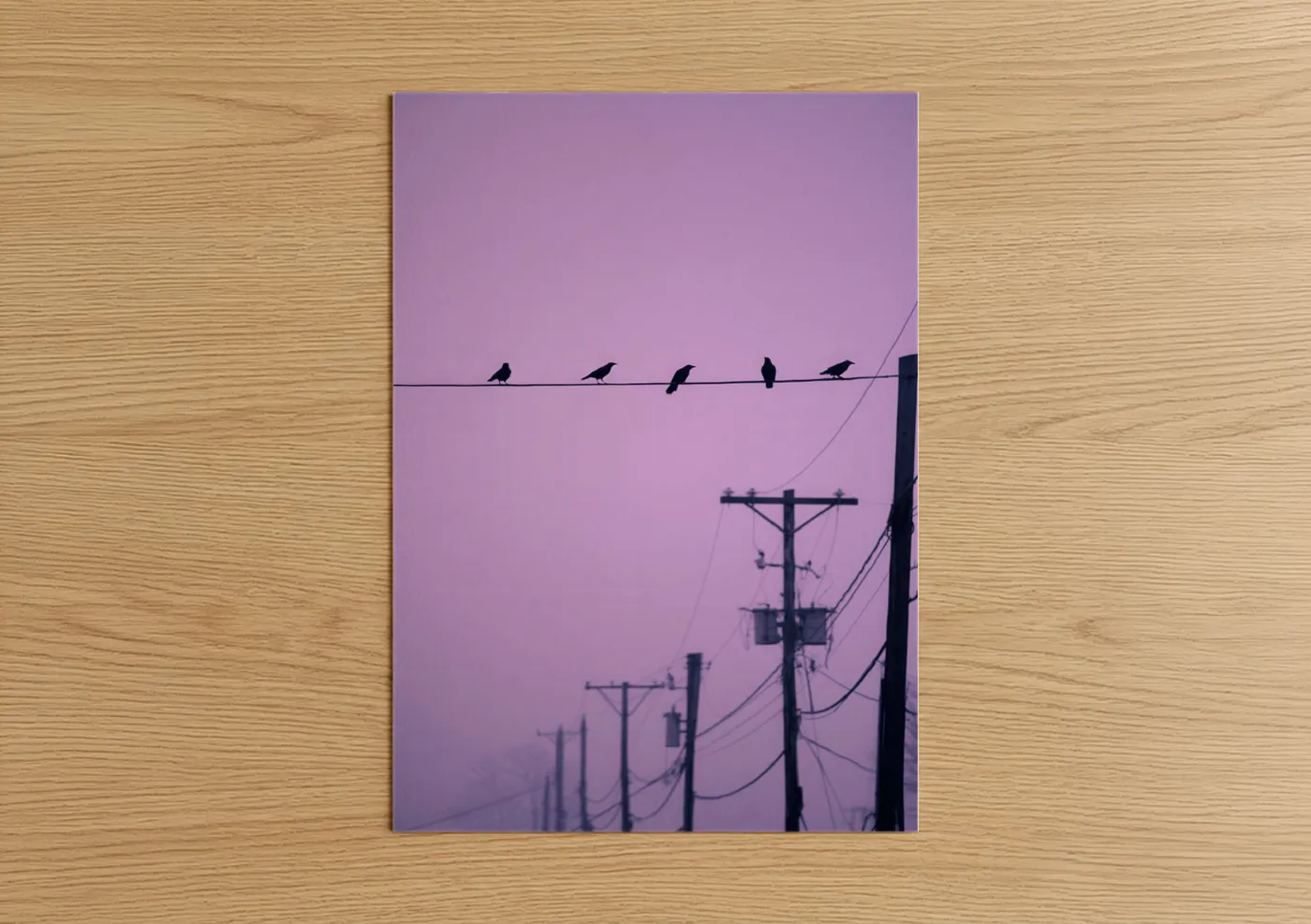 Crows on Wire Twilight Sky Wall Art