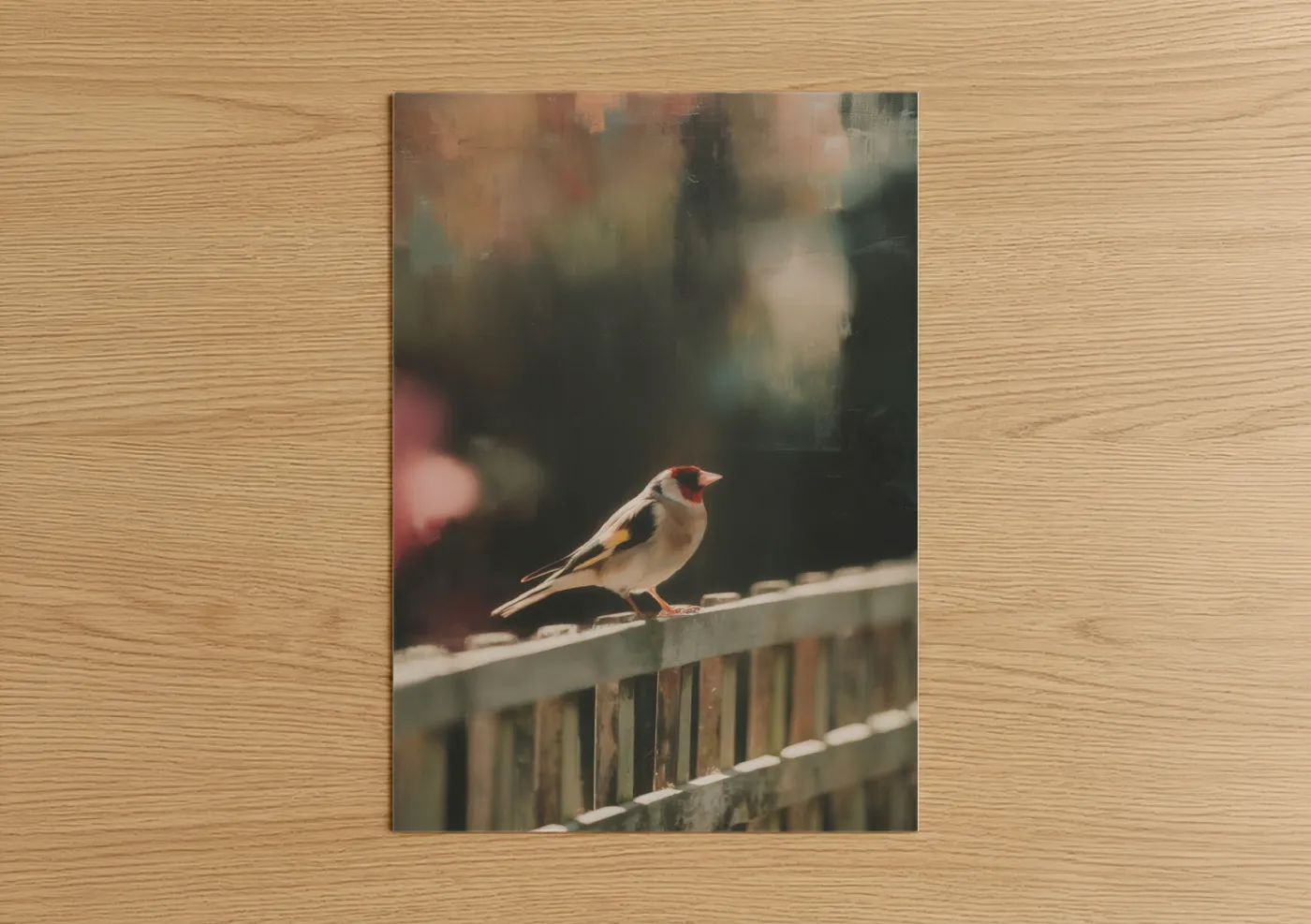 Red-Headed Finch Perched on Railing Wall Art