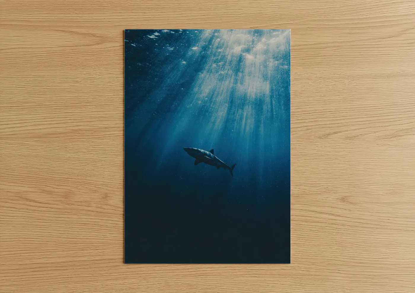 Art print on warm oak wood — dark blue and blue and white palette — Solitary Basking Shark poster