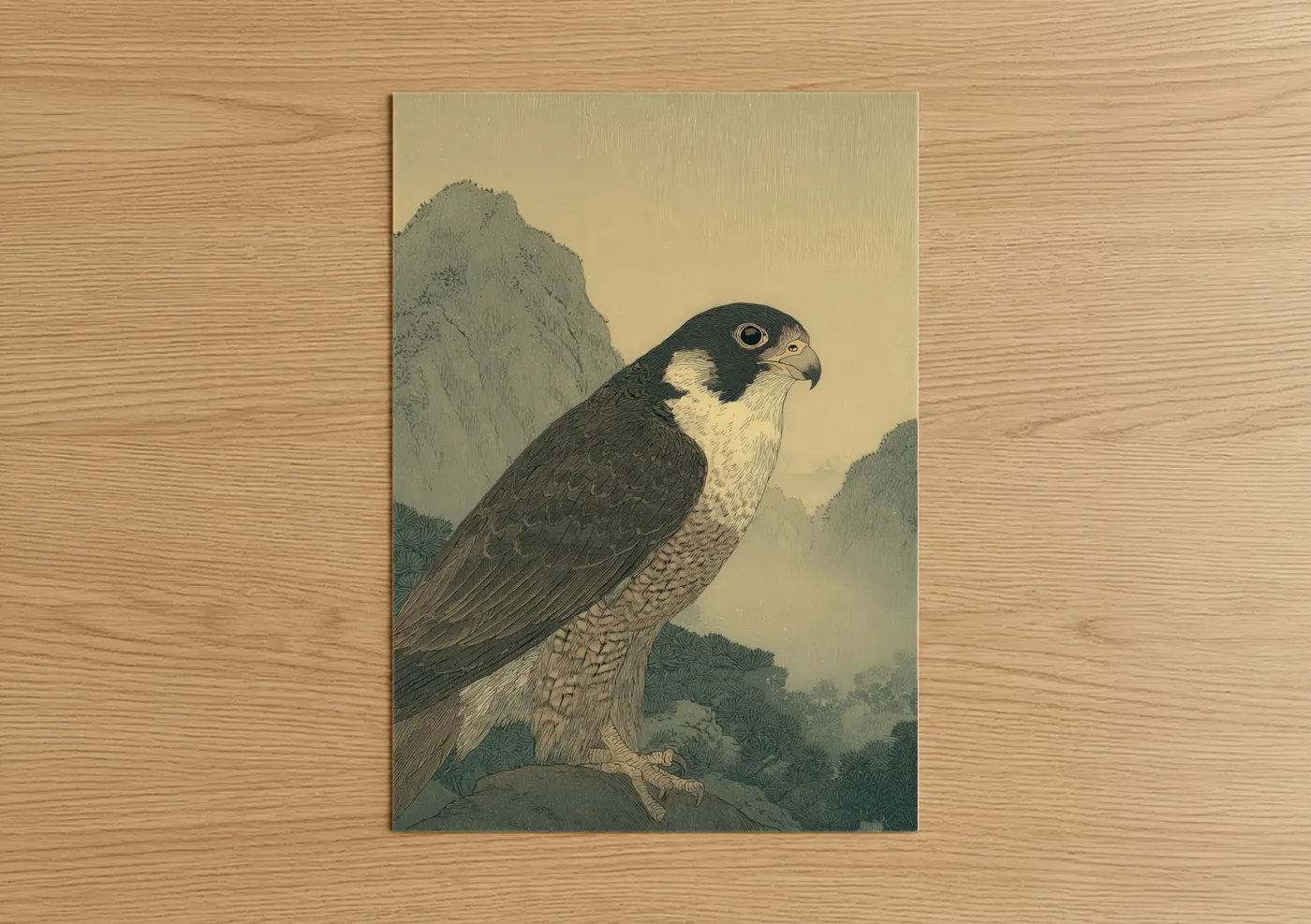Mountain Falcon Hunting Wildlife Wall Art