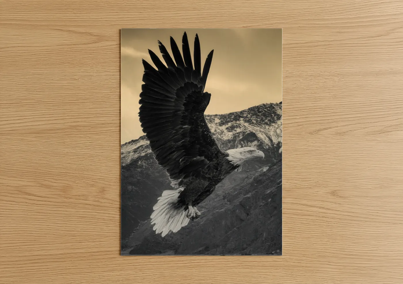 Art print on warm oak wood — black and white and gray palette — Soaring Eagle poster