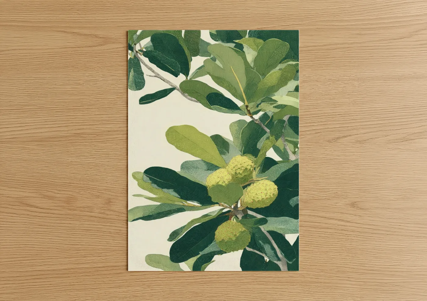 Golden Kauri Tree Botanical Illustration Wall Art